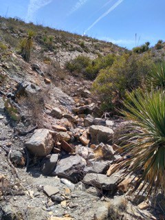 El Paso Texas Franklin Mountains State Park My mom had a hard time walking on all the stones there