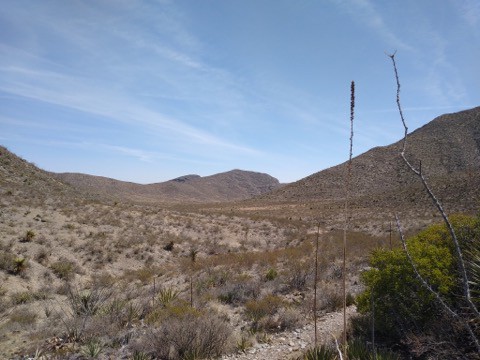 My mom, Beth Purcell, loved to pick up rocks - at the beginning of hikes - and then she'd ask us to carry them.  El Paso, Texas might not have been the best place to take her - what with all those stones!