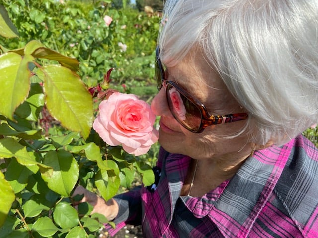 My mom, Beth Purcell, stopping to smell the roses